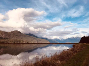 Meet your Posher, Jessie